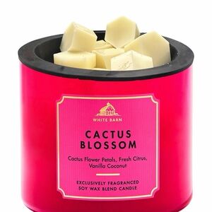 Wax Melts 4oz - Bath and Body Works - Cactus Blossom